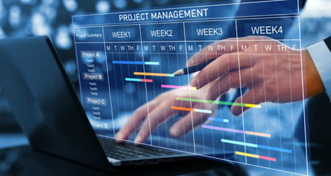 Gig Preview - Do project management, gantt chart, and project report