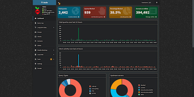 Gig Preview - Setup pi hole onto your raspberry pi, nas server, self hosted or cloud