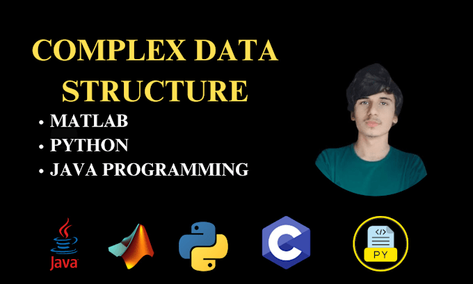 Gig Preview - Do complex data structure, algorithms, python, matlab and java projects