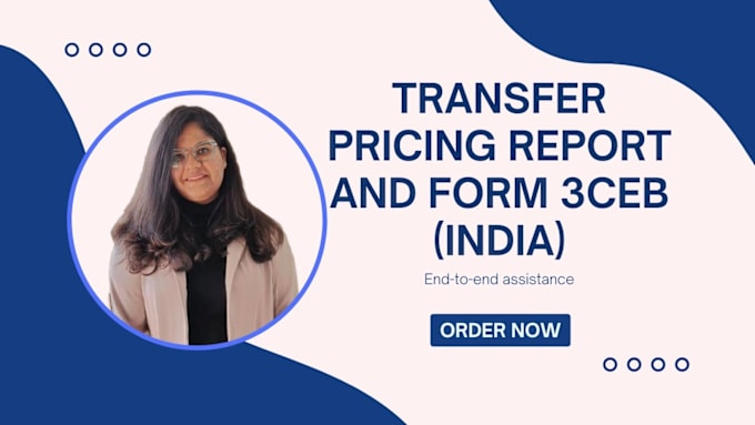 Gig Preview - Prepare transfer pricing report and file form 3ceb in india