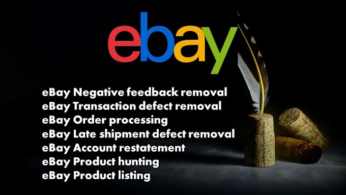 Gig Preview - Improve your ebay account seller level by removing defects