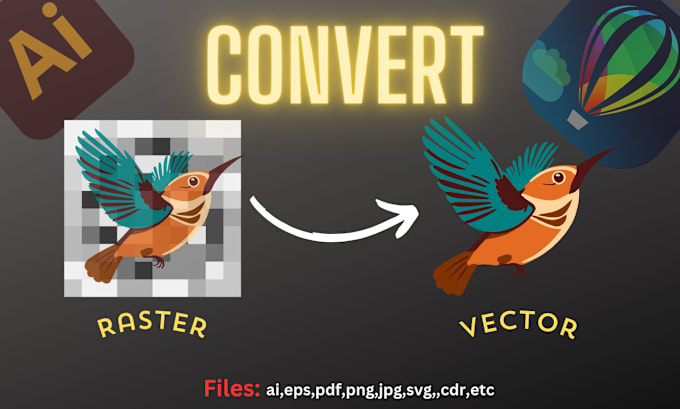 Gig Preview - Convert raster image into vector