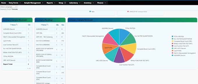 Gig Preview - Develop or customize oracle apex application