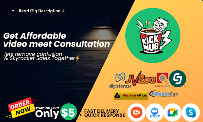 Gig Preview - Do video meeting consultations that skyrocket internet marketers