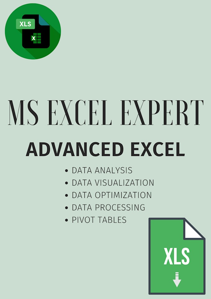 Gig Preview - Provide advanced ms excel services for data optimization