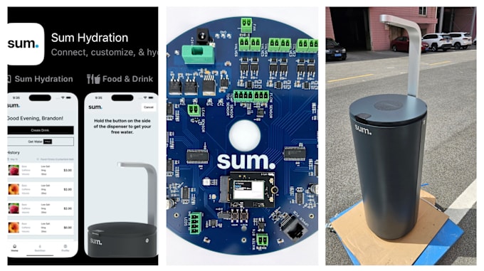 Gig Preview - Build you an iot product and app