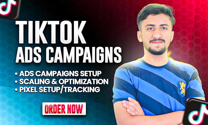 Gig Preview - Be your tiktok ads manager, tiktok campaign setup advertiser