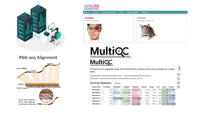 Gig Preview - Download and align your fastq samples to the genome