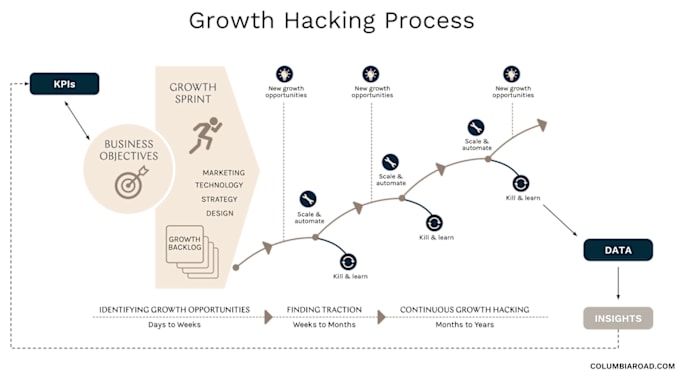 Gig Preview - Do growth hacking for your online business