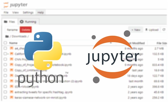 Bestseller - do data analysis with python, jupyter notebook, matplotlib,  sklearn, tensorflow