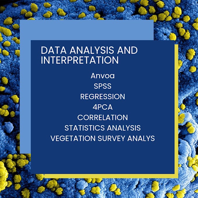 Gig Preview - Urgently analyse and interpret your data in excel, spss and origin