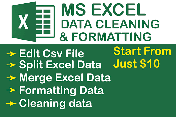 Gig Preview - Do ms excel data cleaning, formatting, sort merge split and edit CSV file