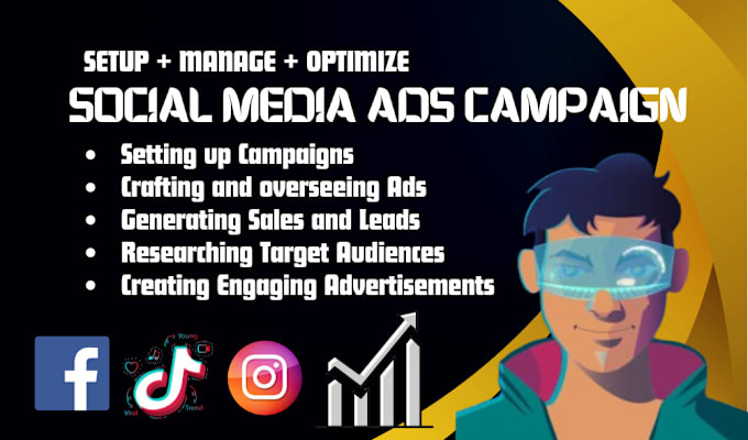 Gig Preview - Setup manage optimize social media ads campaign