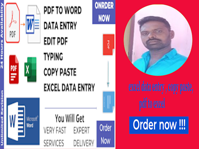 Gig Preview - Do data entry,  copy paste,  excel data entry , pdf to excel