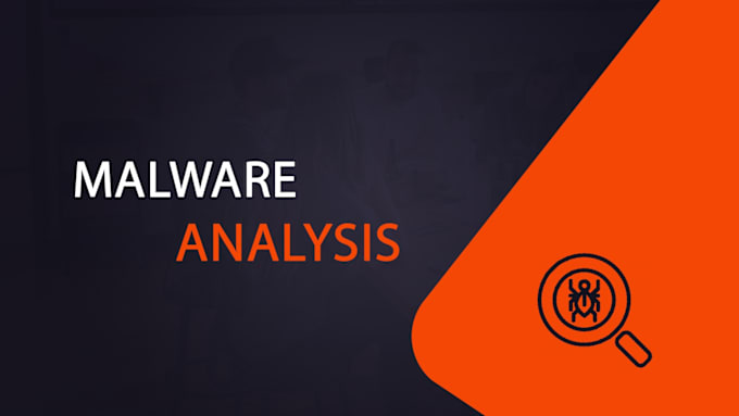 Gig Preview - Static and dynamic malware analysis