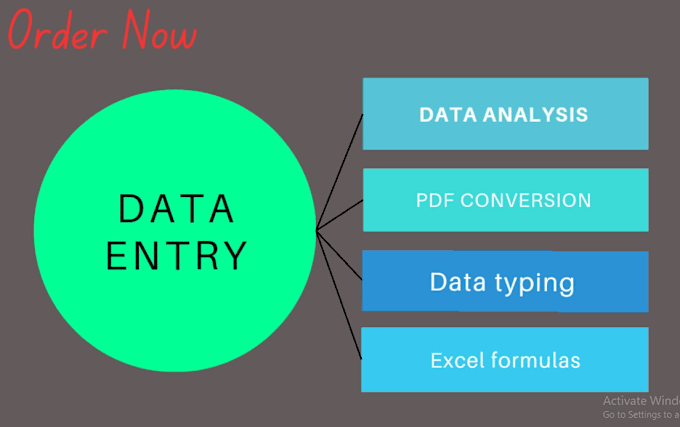 Gig Preview - Do instant data entry data analysis and more