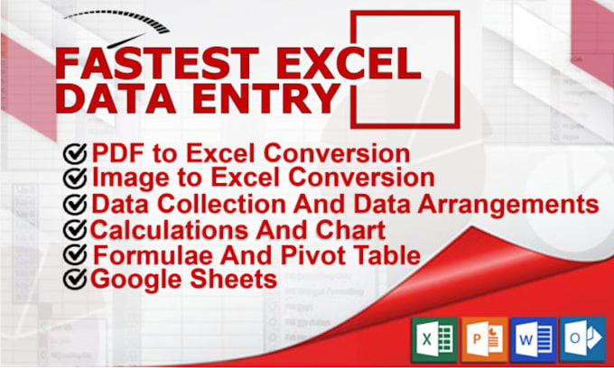 Gig Preview - Excel data entry fast and accurate