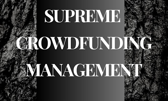 Gig Preview - Write your crowdfunding campaign pitch to engage audiences