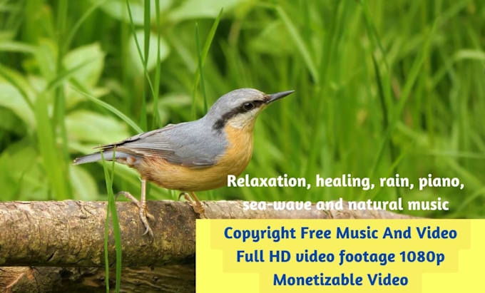 Bestseller - create meditation, relaxing, raining music video for sleep, yoga etc