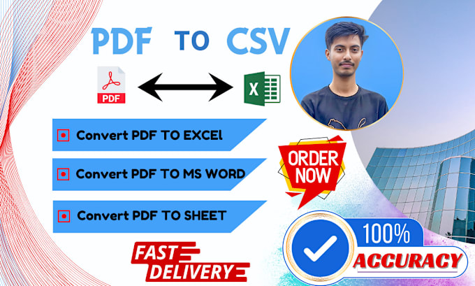 Gig Preview - Transform PDF into excel, CSV or word formats