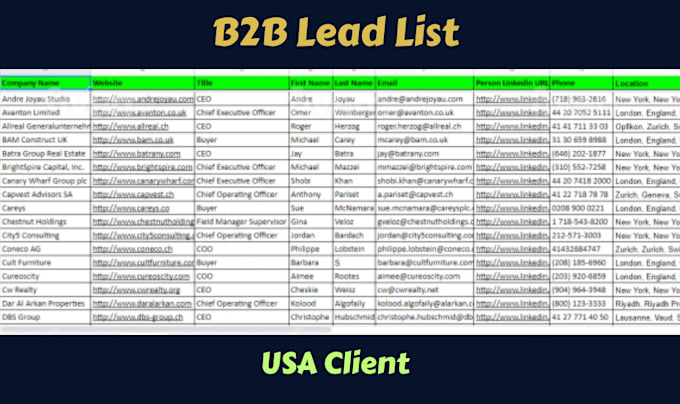 Gig Preview - Create a b2b leads contact list