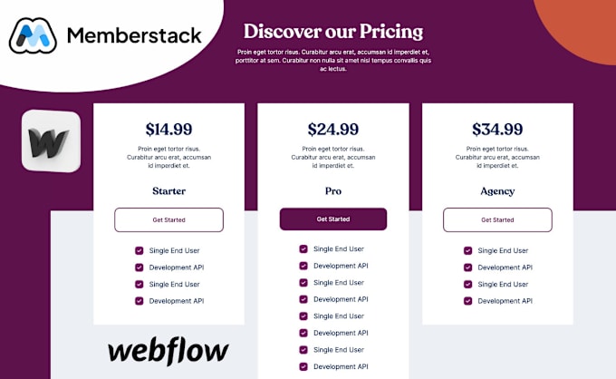 Gig Preview - Expert membership subscription database website on webflow with memberstack