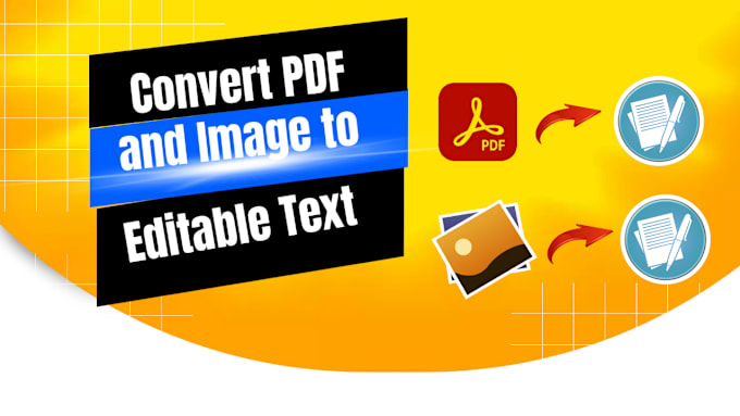 Gig Preview - Do pdf files and images to editable file