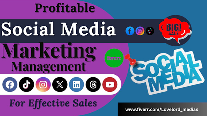 Gig Preview - Social media marketing and management expert, grow your online presence