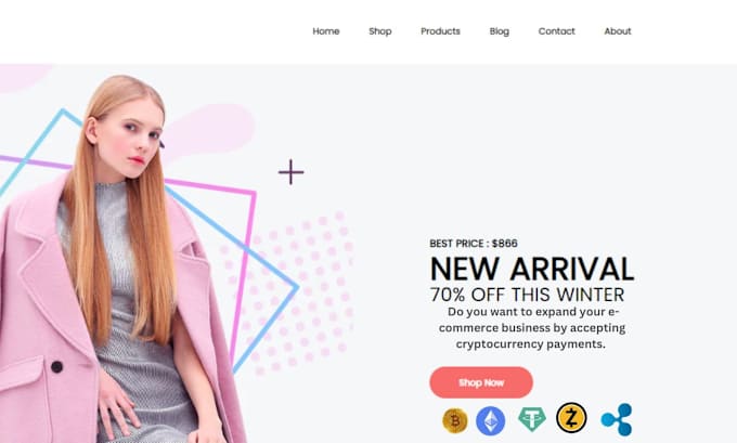 Gig Preview - Do ecommerce website to accept btc usdt eth crypto payment gateway