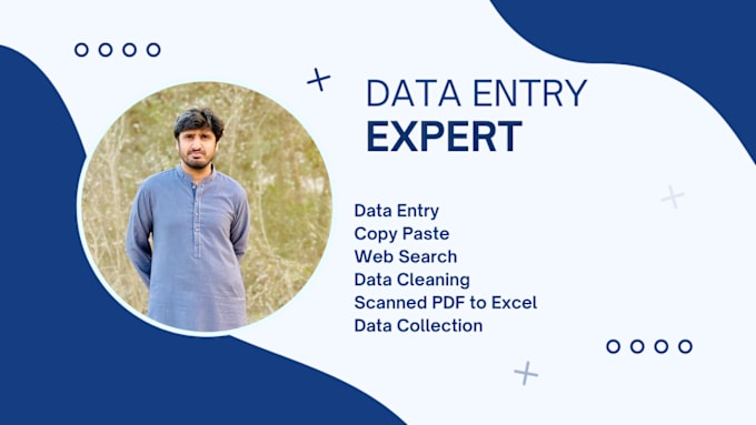 Bestseller - do perfectly data entry, excel data cleaning, web search