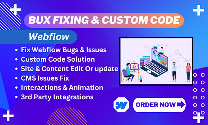 Gig Preview - Fix webflow website bugs, webflow edit, template customization, custom code