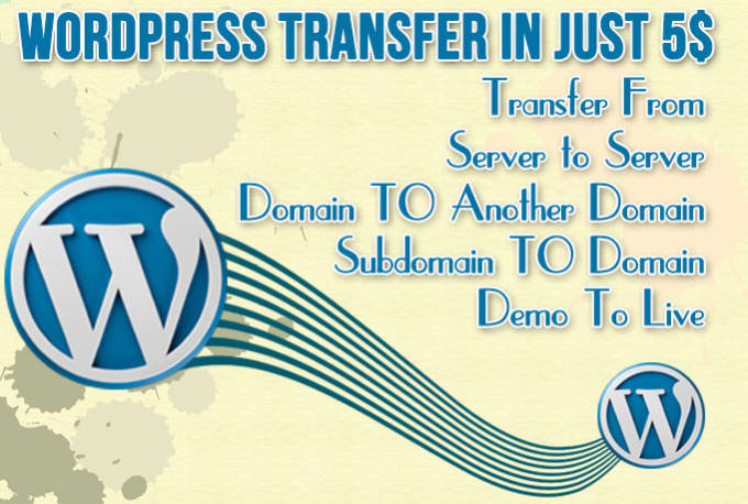 Gig Preview - Transfer migrate fix wordpress website