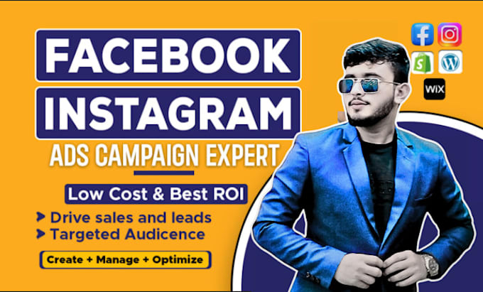 Gig Preview - Be your facebook and instagram and tiktok ads manager expert