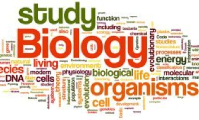 Gig Preview - Help you with workload in advanced biology