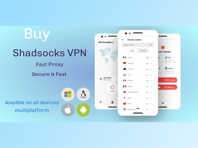 Gig Preview - Provide multiplatform shadowsocks VPN