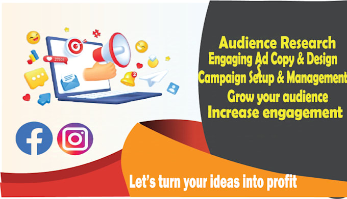 Gig Preview - Set up facebook ads campaigns to grow your audience