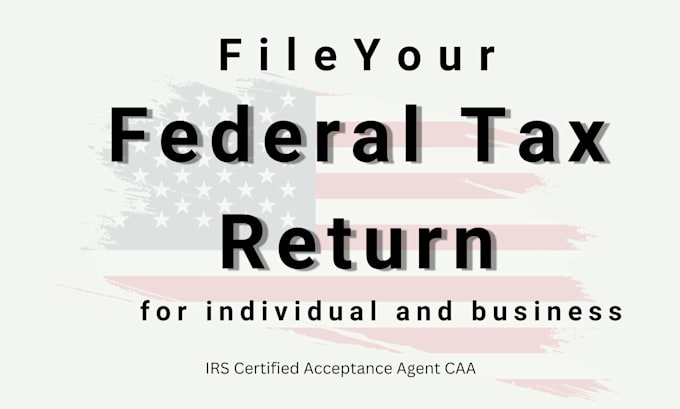 Gig Preview - File your llc annual report in any US state with a federal tax return