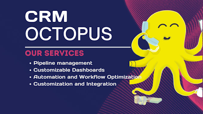 Gig Preview - Configure and set up octopus CRM