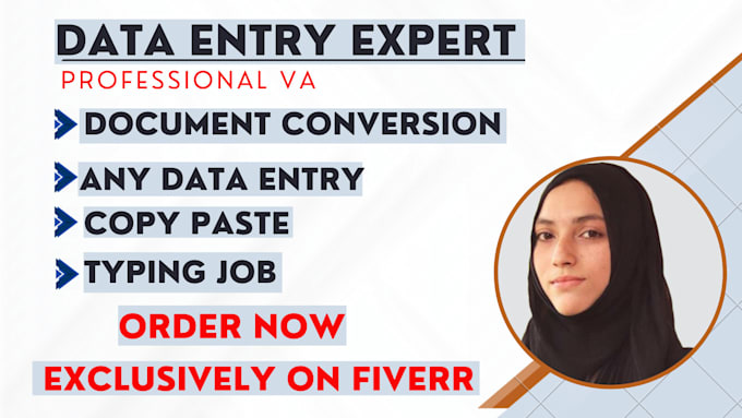 Gig Preview - Do super quick data entry, excel data entry jobs