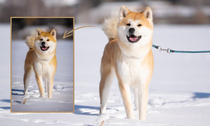 Gig Preview - Create perfect pet photos with professional editing