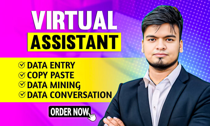 Gig Preview - Be your virtual assistant for data entry, data mining, web research