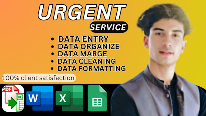 Bestseller - do urgent data cleaning and urgent data analysis in excel in just 6 hours