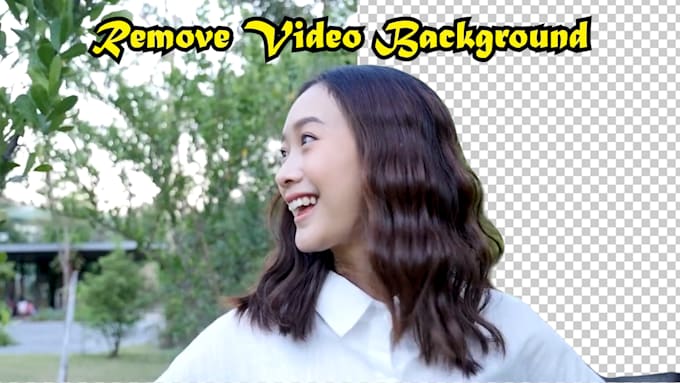 Gig Preview - Do rotoscoping, change or remove video background without green screen