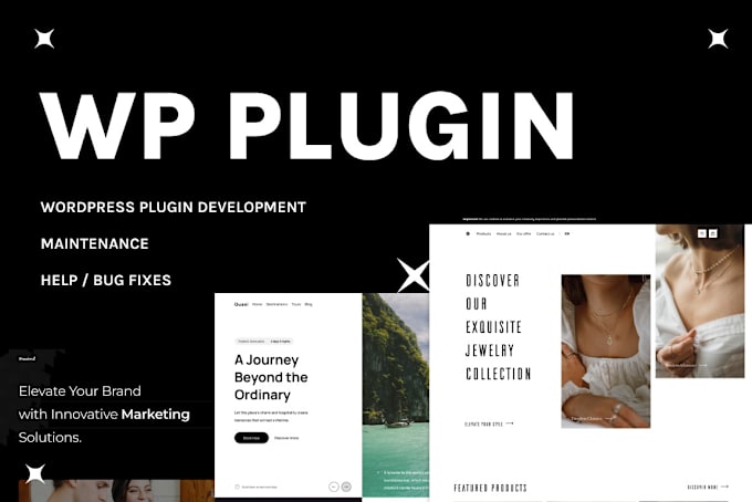 Gig Preview - Develop a wordpress plugin or adapt existing plugin