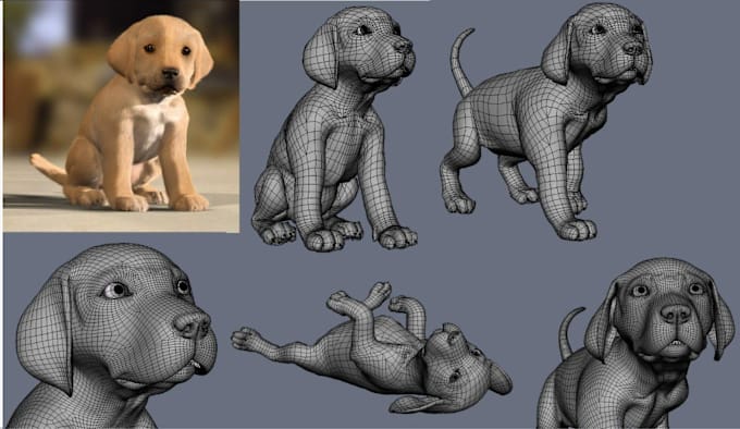 Gig Preview - Do dog model, pet, puppy, dog product, pet supplies, video production, landscape