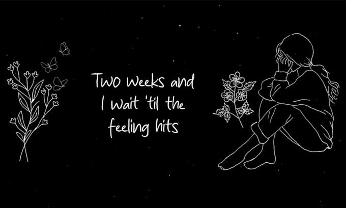 Gig Preview - Make custom animated hand drawn lyric video