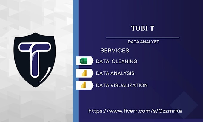 Gig Preview - Do quantitative and statistical analysis with visualization using excel, spss