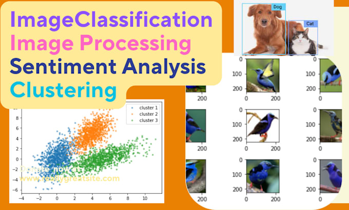 Gig Preview - Do classification, clustering, image processing, sentiment analysis using ml