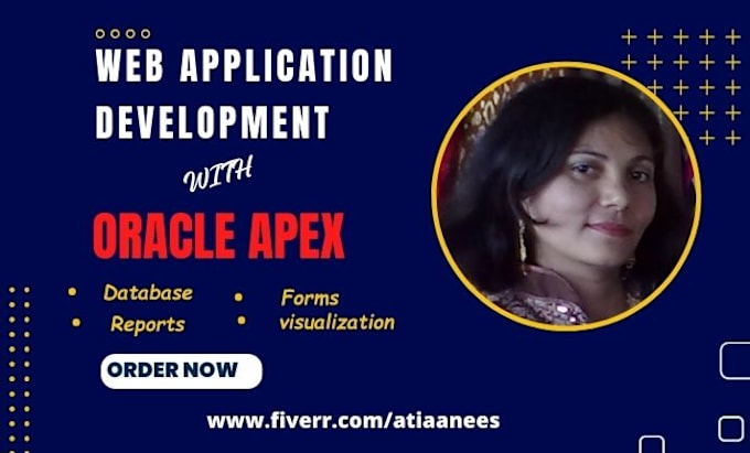 Gig Preview - Develop or customize oracle database and oracle apex application