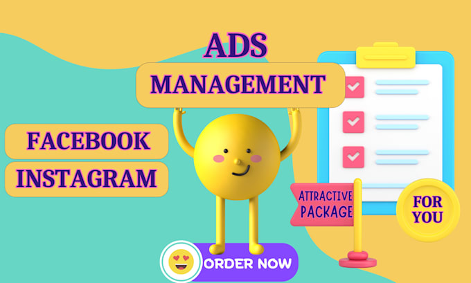 Gig Preview - Do professional meta ads manager fb ig campaign